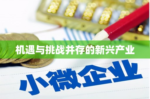 绥滨机遇与挑战并存的新兴产业