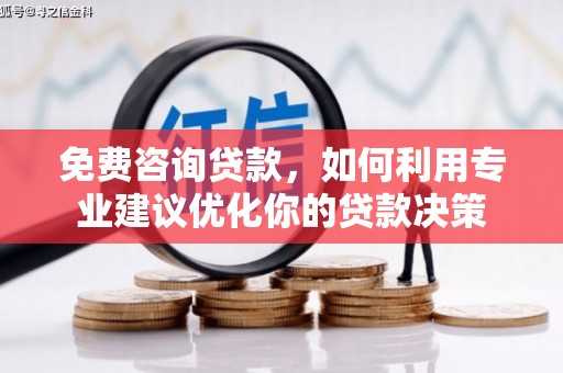 绥滨免费咨询贷款，如何利用专业建议优化你的贷款决策
