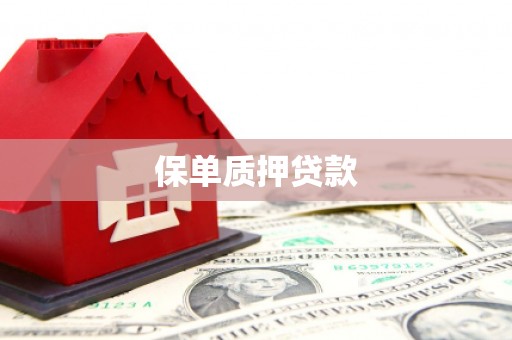 绥滨保单质押贷款