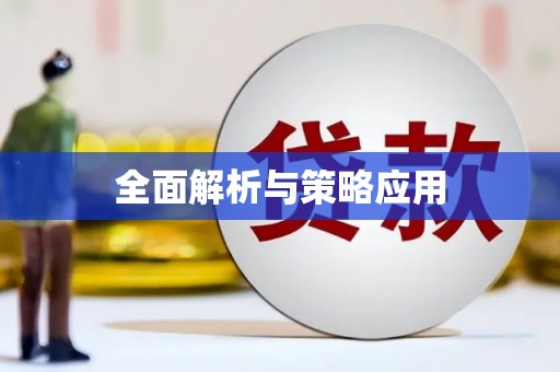 绥滨全面解析与策略应用