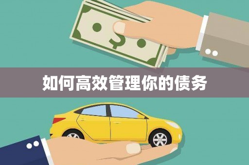 绥滨如何高效管理你的债务