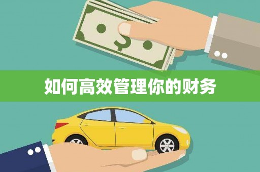 绥滨如何高效管理你的财务