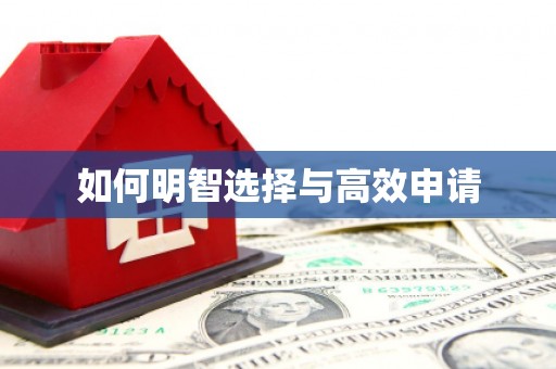 绥滨如何明智选择与高效申请