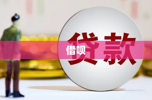 绥滨借呗
