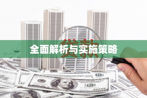 绥滨全面解析与实施策略