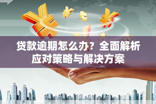 绥滨贷款逾期怎么办？全面解析应对策略与解决方案
