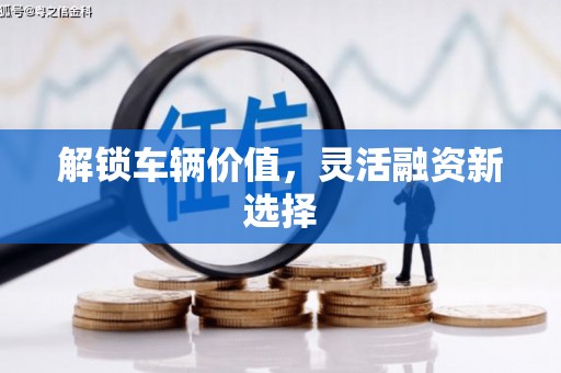 绥滨解锁车辆价值，灵活融资新选择