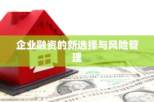 绥滨企业融资的新选择与风险管理
