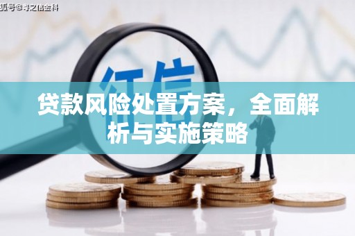 绥滨贷款风险处置方案，全面解析与实施策略