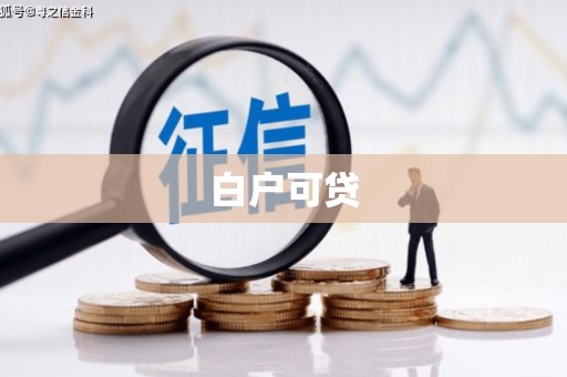 绥滨白户可贷