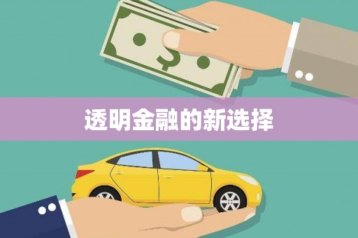 绥滨透明金融的新选择