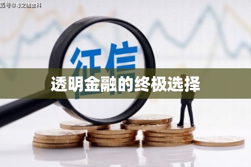 绥滨透明金融的终极选择