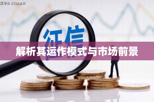 绥滨解析其运作模式与市场前景