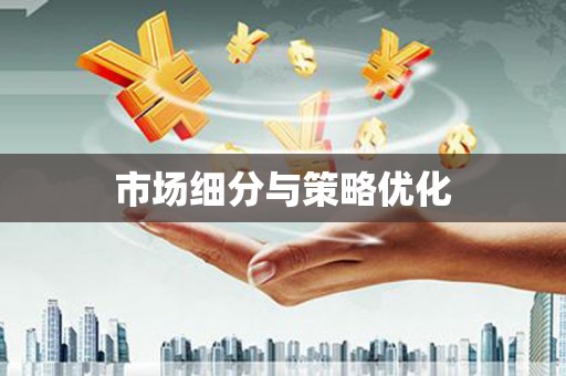 绥滨市场细分与策略优化