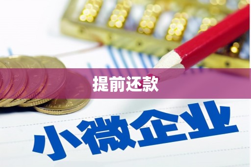 绥滨提前还款