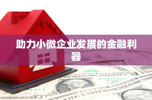 绥滨助力小微企业发展的金融利器
