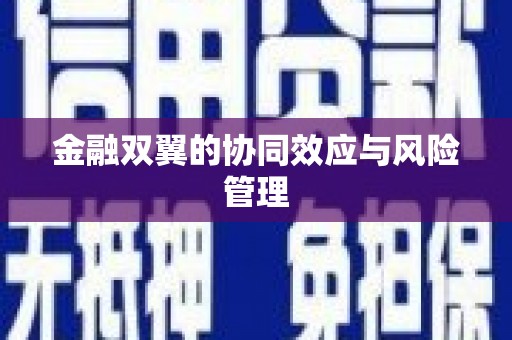 绥滨金融双翼的协同效应与风险管理