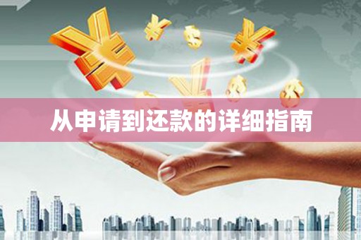 绥滨从申请到还款的详细指南