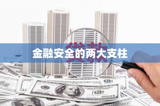 绥滨金融安全的两大支柱