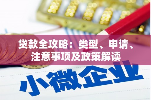 绥滨贷款全攻略：类型、申请、注意事项及政策解读