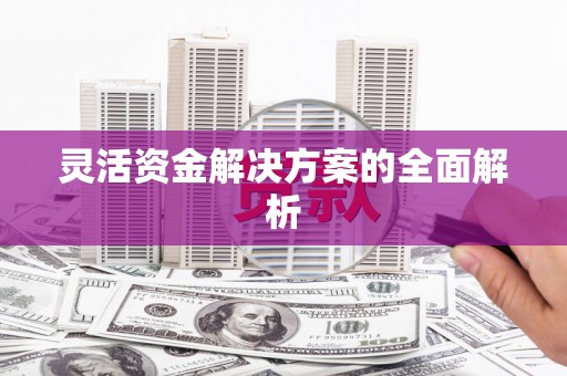 绥滨灵活资金解决方案的全面解析