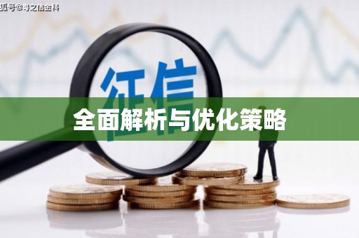 绥滨全面解析与优化策略