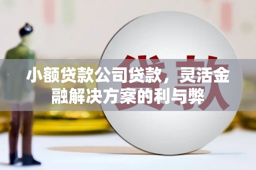 绥滨小额贷款公司贷款，灵活金融解决方案的利与弊